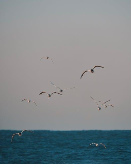 Understanding Open Rates and Their Impact on Engagement