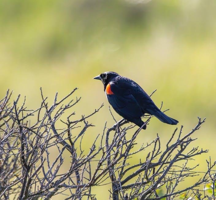 Analyzing User Behavior to Refine Your Linking Approach