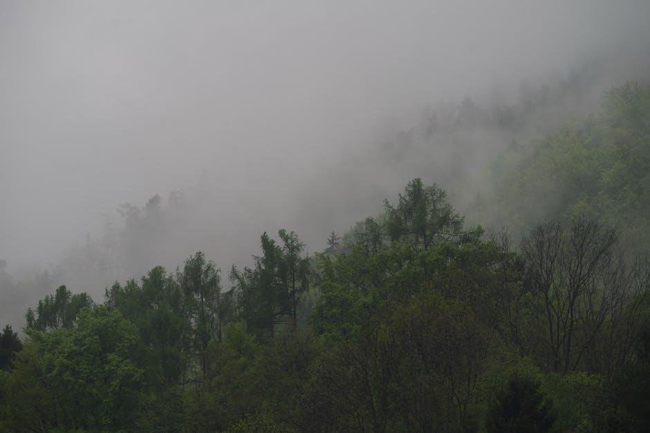 Understanding the hidden Factors Behind Your Site's Low Rankings