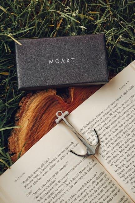 Unlocking the Power of Relevant Anchor Text